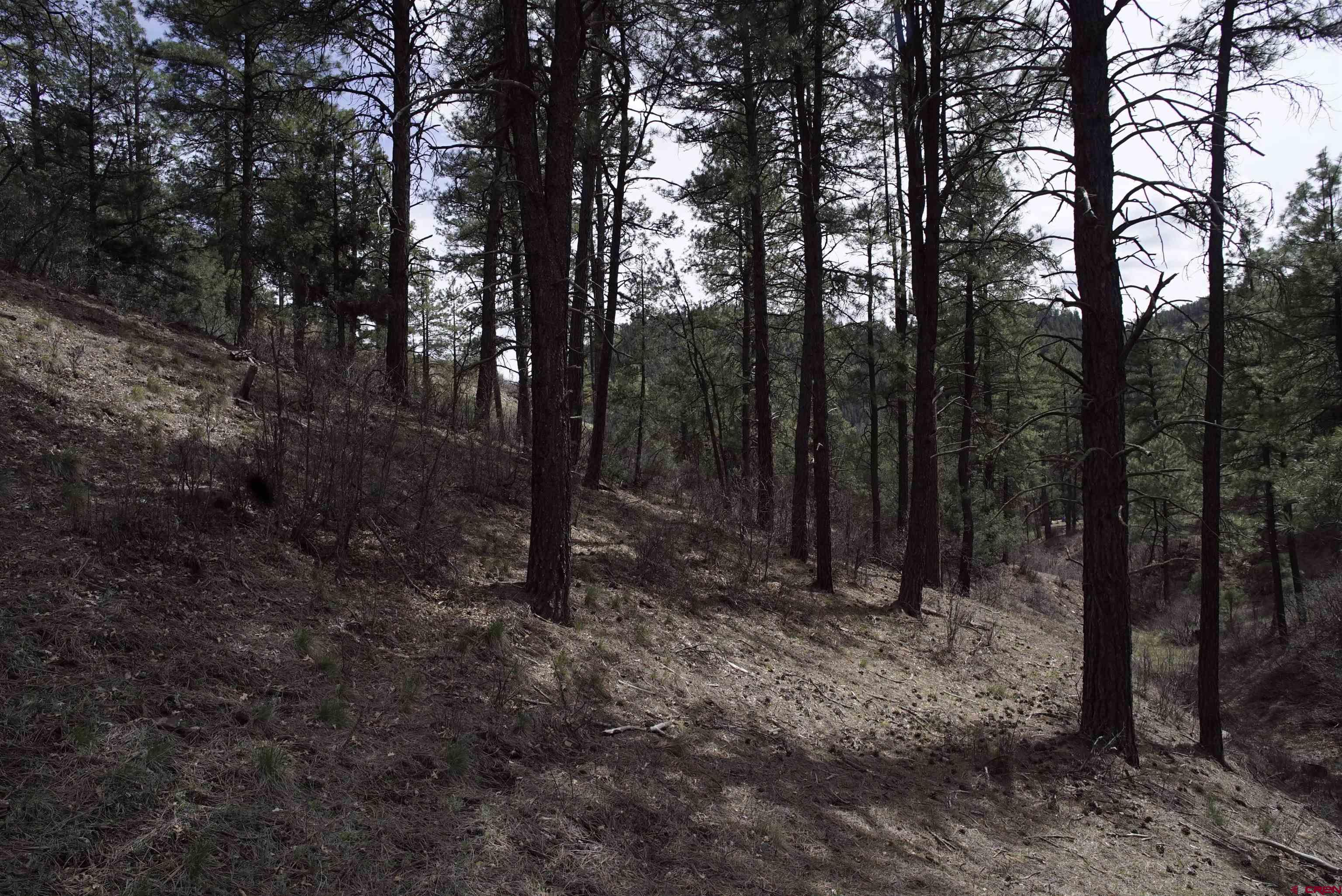 2.23 acres in Pagosa Springs, Archuleta County, CO